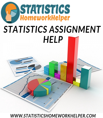 best service stats assignment expert