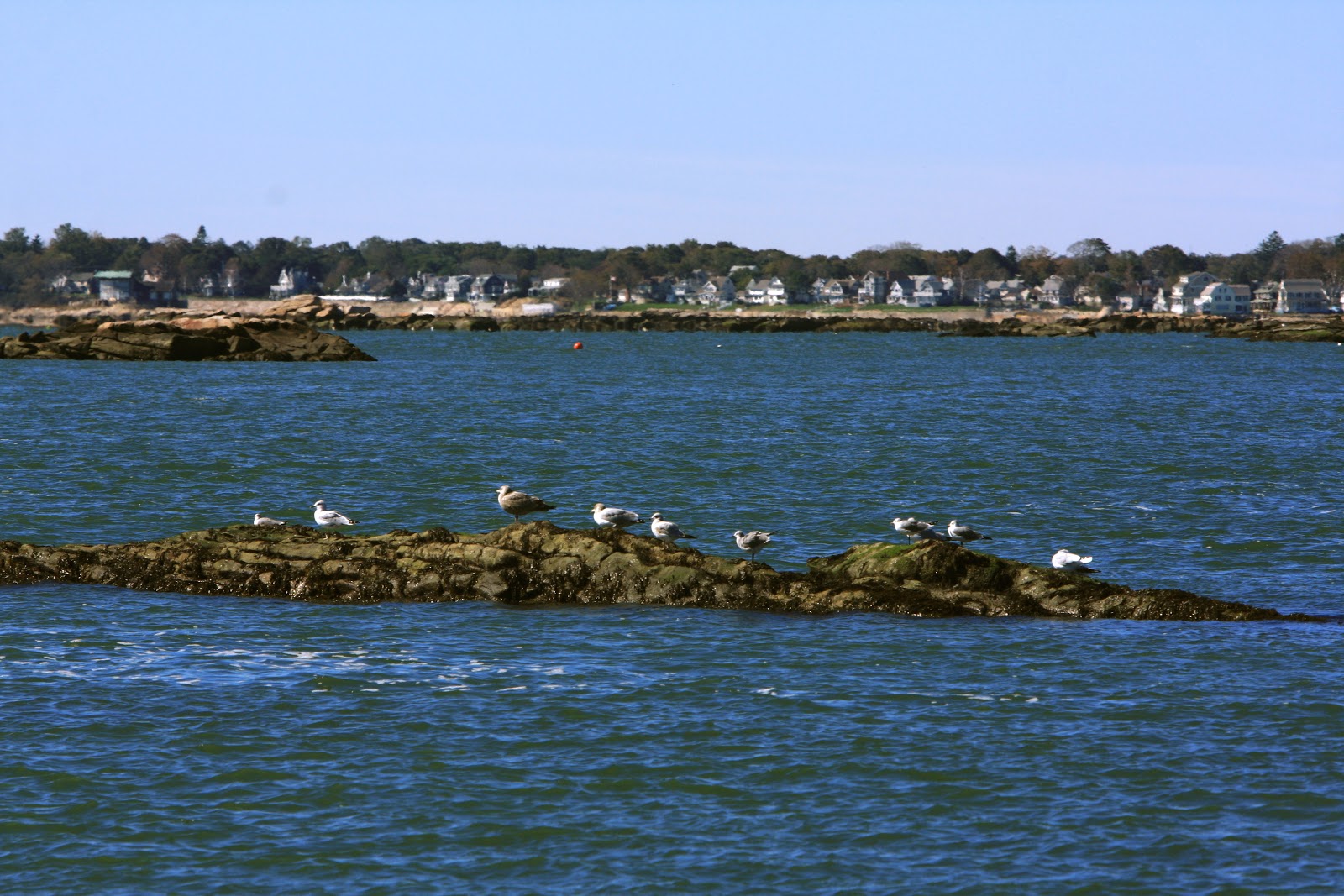 The Escalantes The Thimble Islands