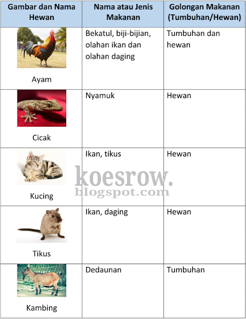 Jawaban kelas 5 tema 5 halaman 6 Kunci jawaban tema 5 kelas 5 halaman 6