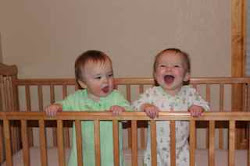 They loved to play in the crib together...jumping up and down, up and down, giggling all the way!
