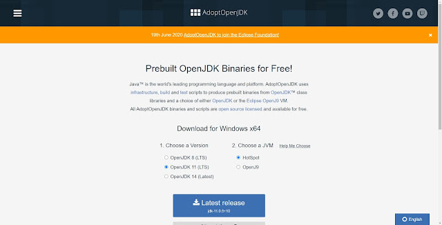 adopt openjdk 11 adopt openjdk 11