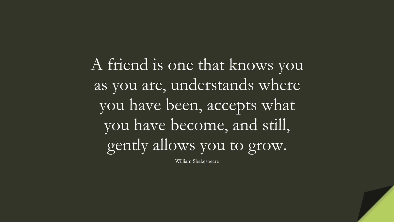 A friend is one that knows you as you are, understands where you have been, accepts what you have become, and still, gently allows you to grow. (William Shakespeare);  #FriendshipQuotes