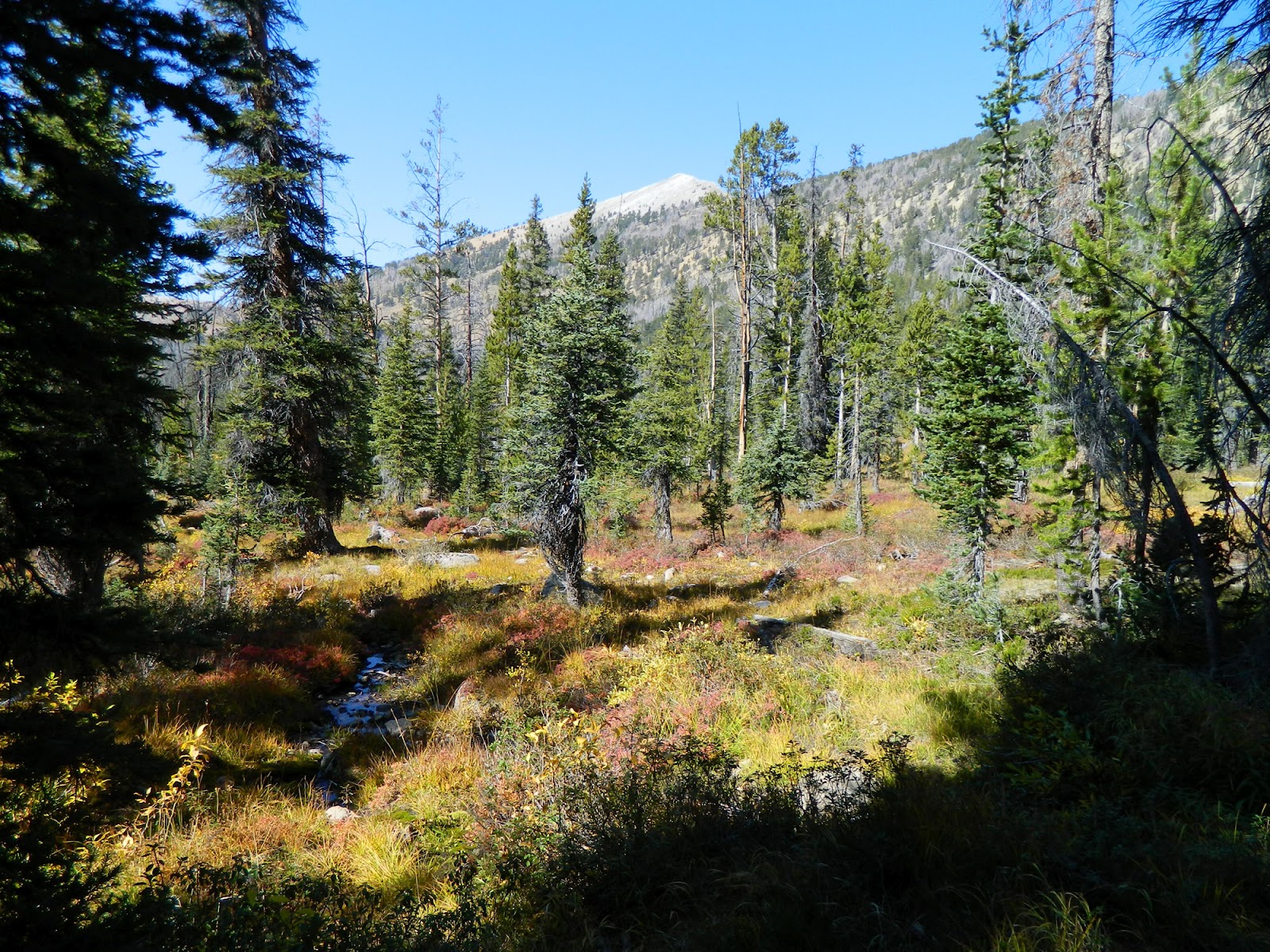 Living in Idaho Boulder/White Cloud Mountains