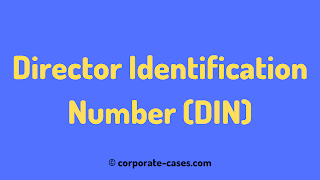 director identification number (din)