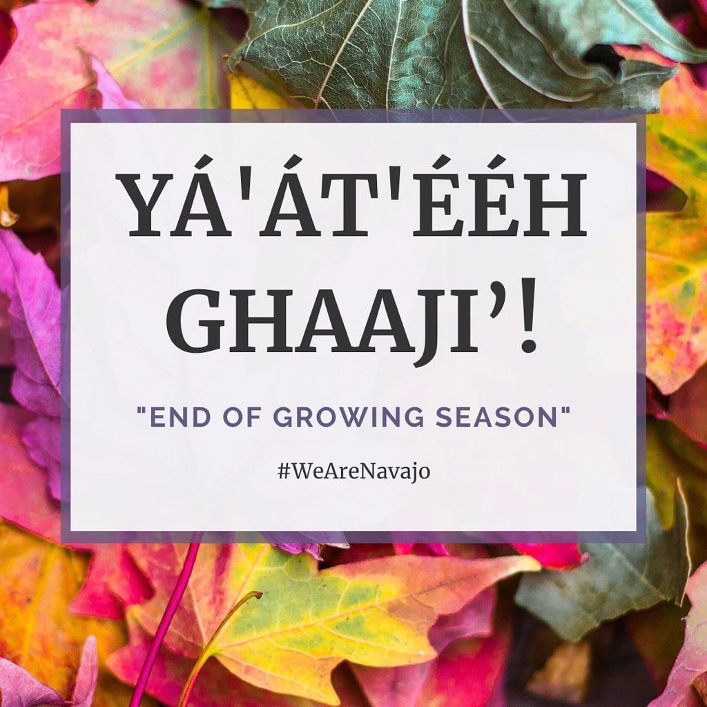 Writing to Heal Gháájí’ New Year, New You