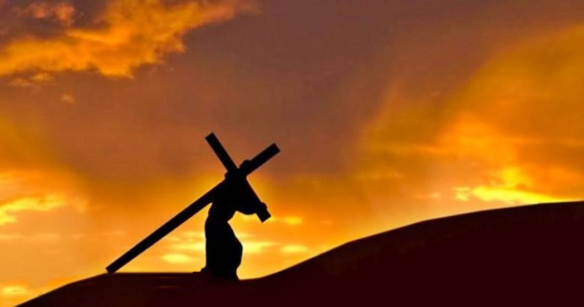 Eliseu Antonio Gomes O que significa