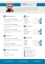 Professional Cv Format Word Download - 20+ CV Templates: Download a Professional Curriculum Vitae / This free cv template will help you to build your resume in the most attractive way.