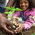 GARDEN FOR YOUR MENTAL AND PHYSICAL HEALTH