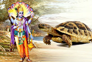 कछुआ धन और समृद्धि लाता है ज़रूर करे ये चमत्कारी उपाय कछुआ धन और समृद्धि लाता है ज़रूर करे ये चमत्कारी उपाय