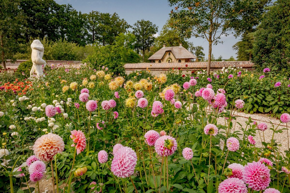 de dalias en el castillo de keukenhof