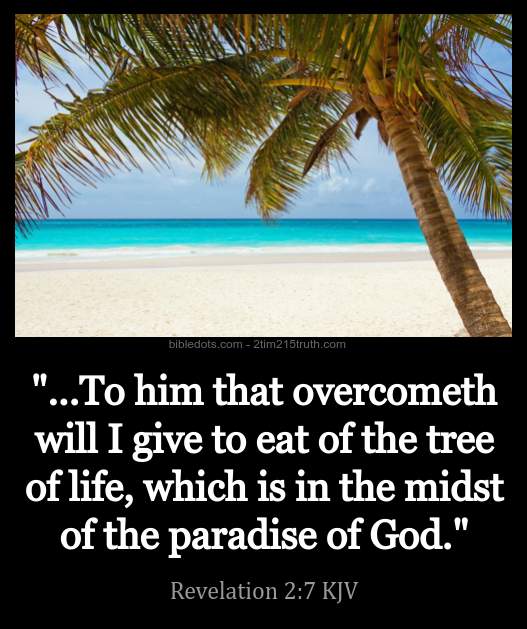 2 Timothy 215 Truth Verse of the Day Revelation 27 KJV