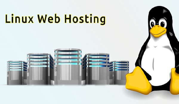 Các ưu điểm của Hosting Linux có thể bạn chưa biết