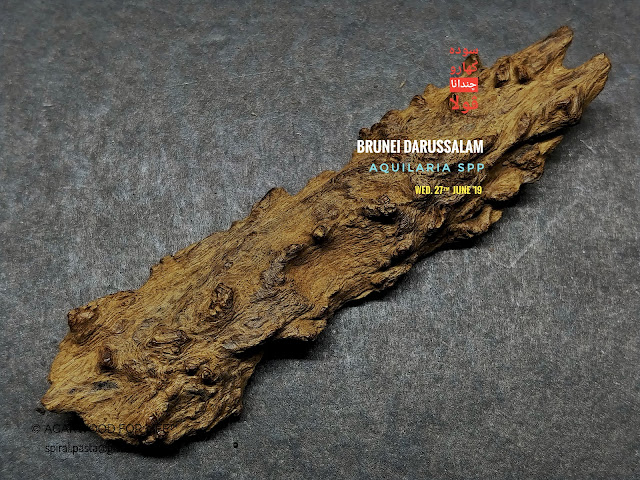 Beautiful shape of high quality of very old age soil grade agarwood pendants from Brunei,