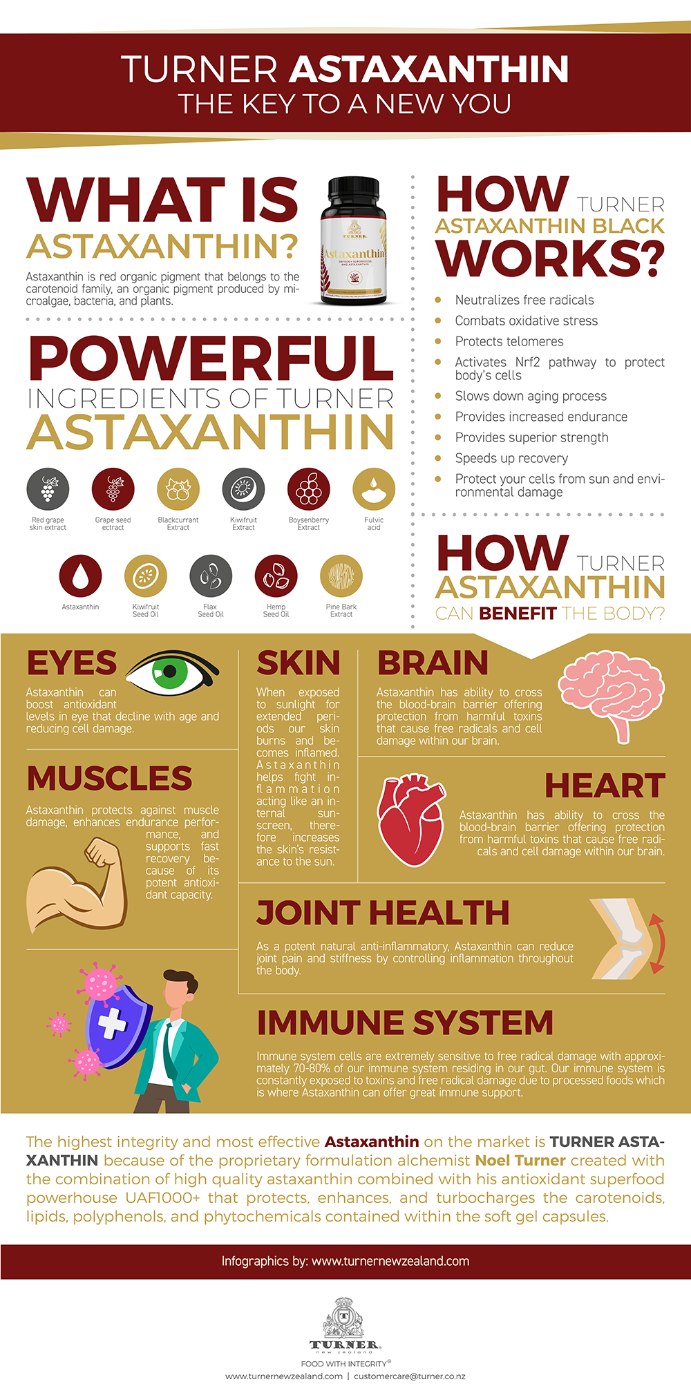 Check Out the Benefits of Astaxanthin Supplements as Antioxidants on