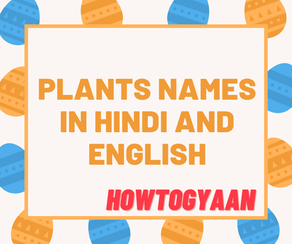 Plants Names in Hindi and English पौधों के नाम हिन्दी और इंग्लिश में