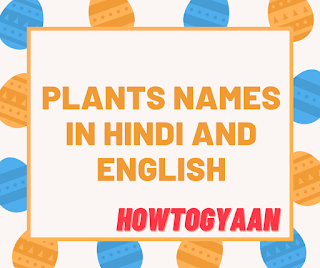 Plants Names in Hindi and English - पौधों के नाम हिन्दी और इंग्लिश में