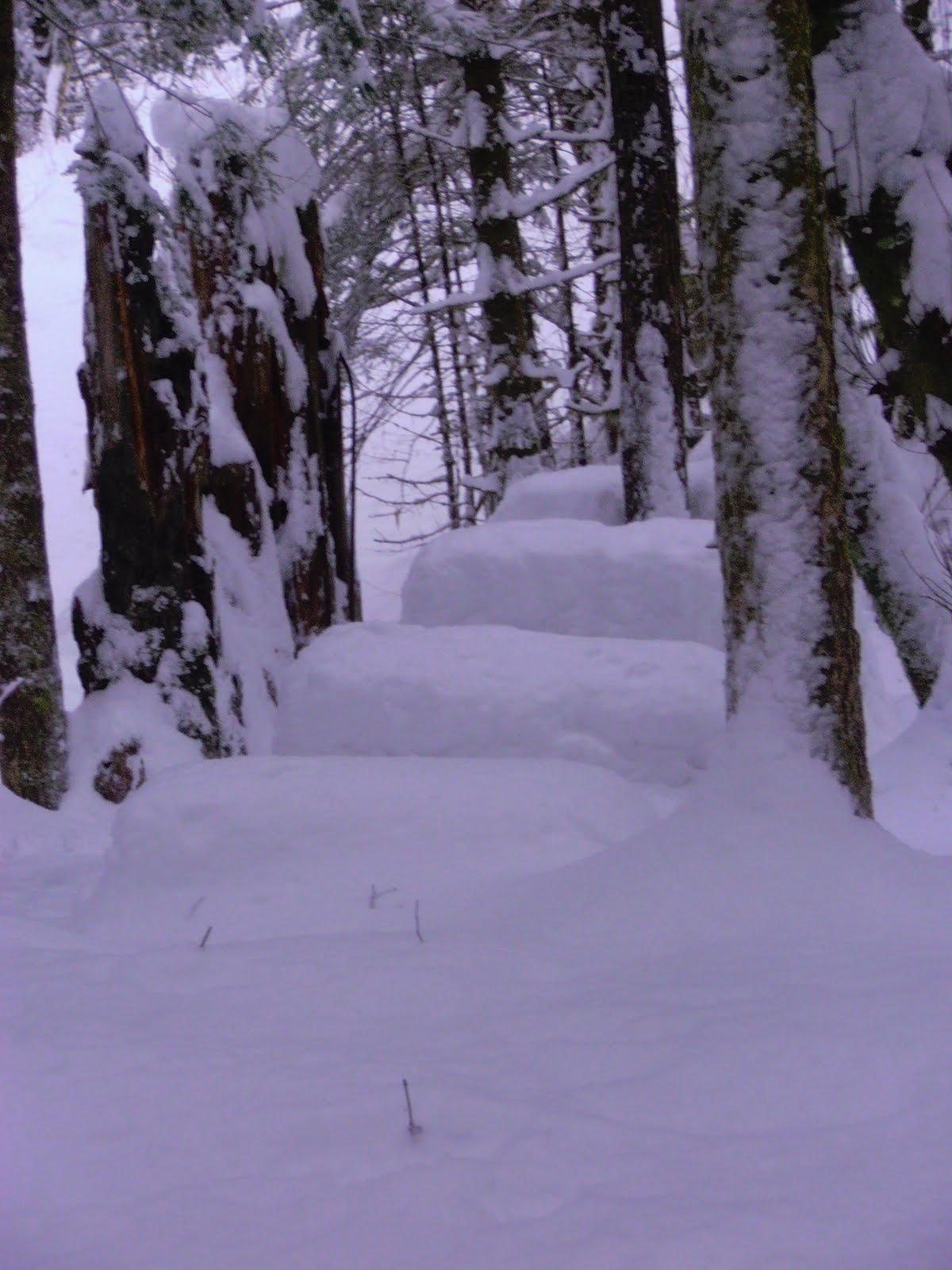 Juneau, AK, The Long Winter Juneau snow pictures