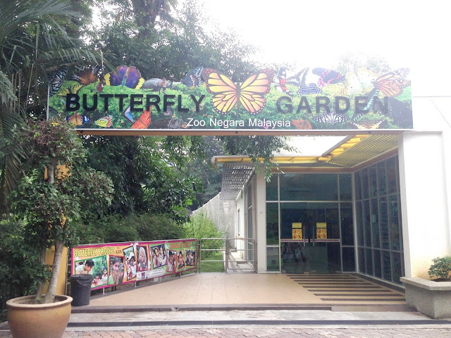 butterfly garden zoo negara