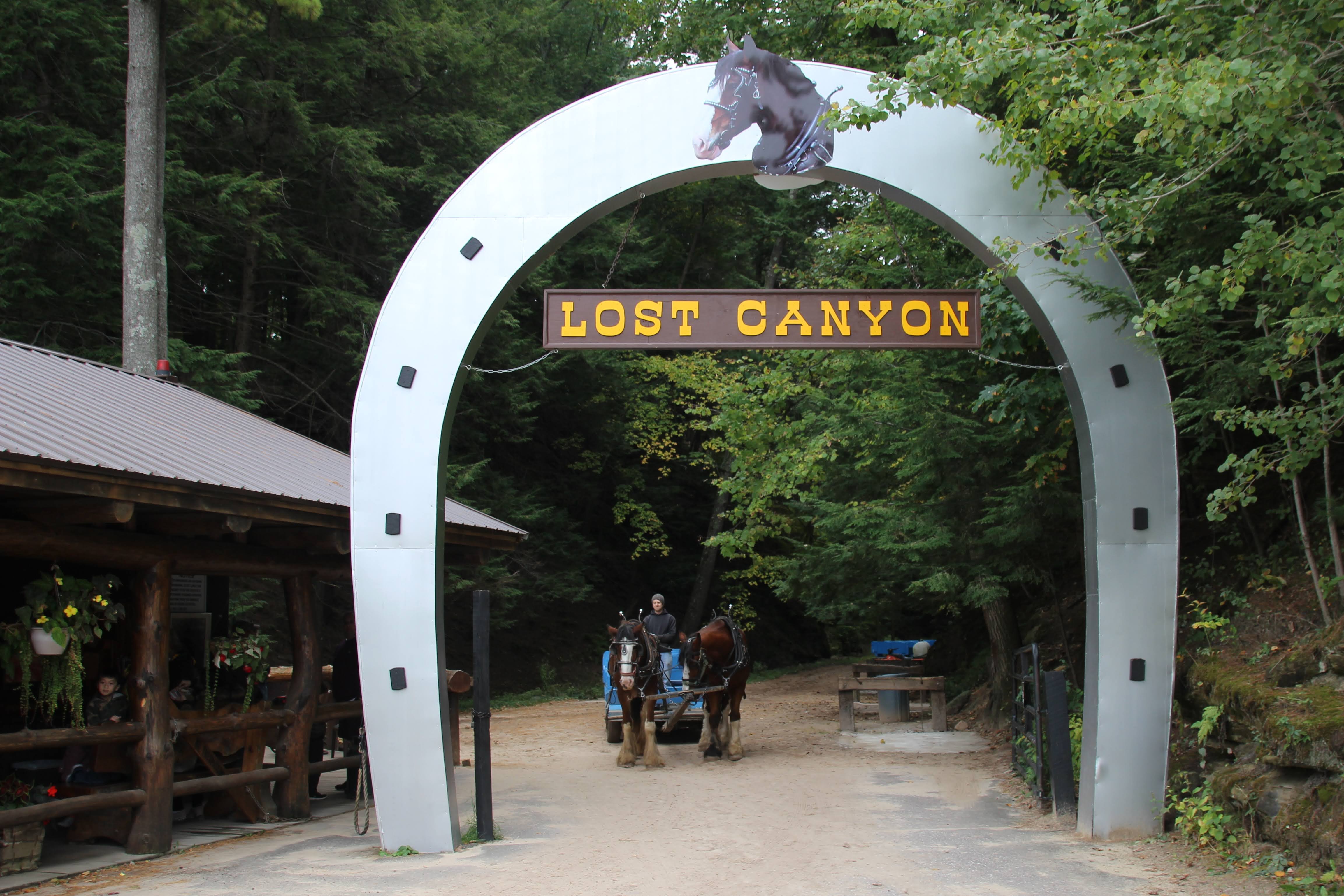 Lost Cave And Canyon Tour - dyn1h11