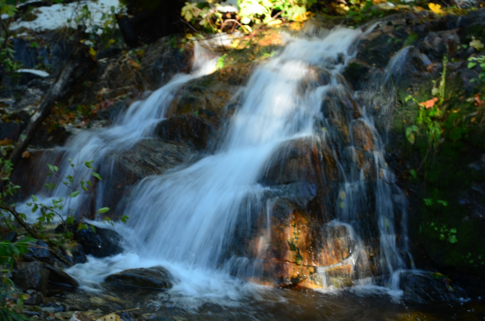 Peachy Hiker: Pioneer Trail ~ Spaulding Lake / Grouse Ridge Trails 10 ...
