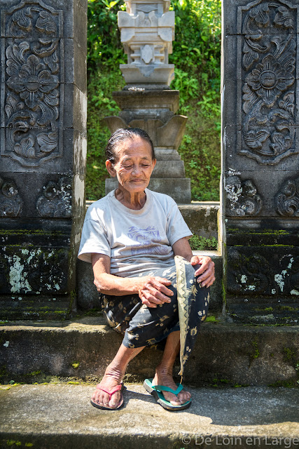 Ceking - Tegallalang - Ubud - Bali