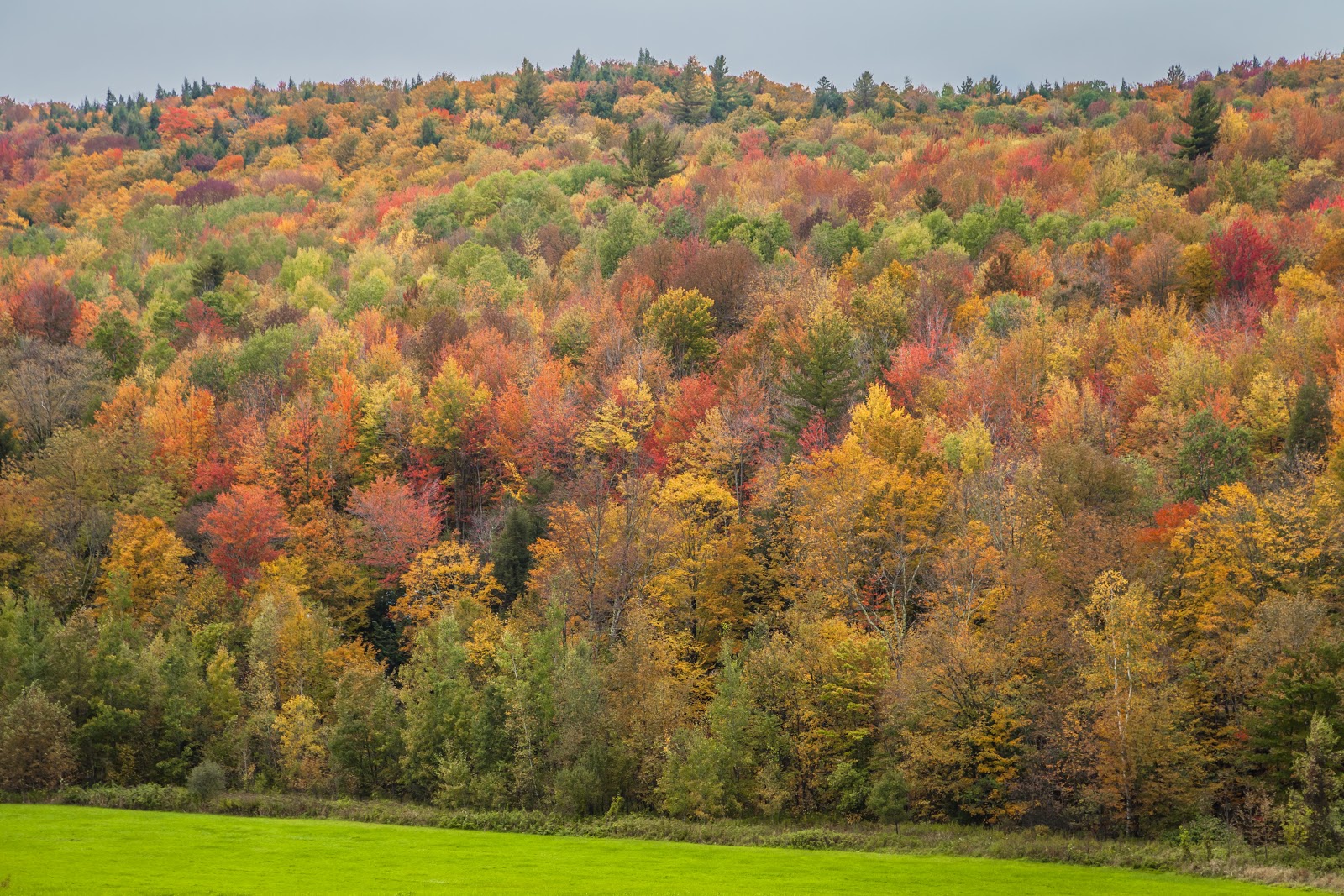 Vermont The Best Place for Leaf Peeping Explore the World with
