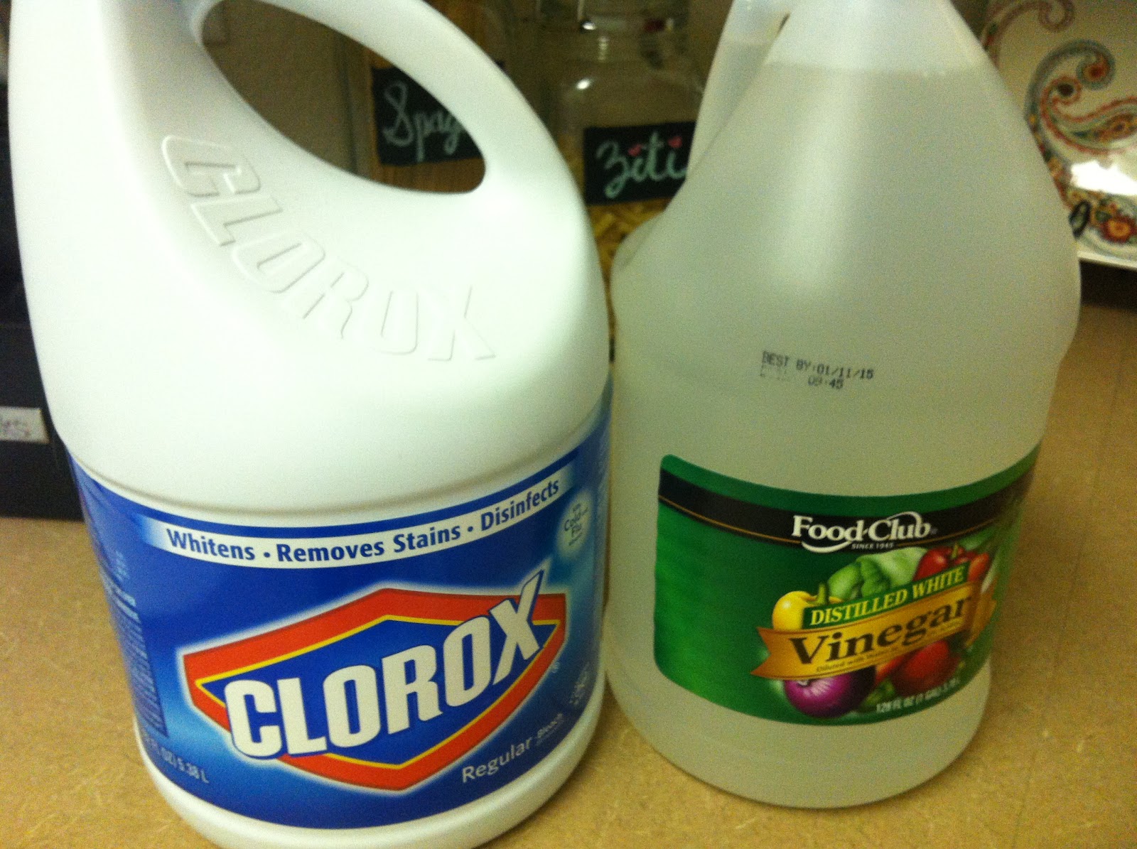Home Clean Home Vinegar vs. Bleach