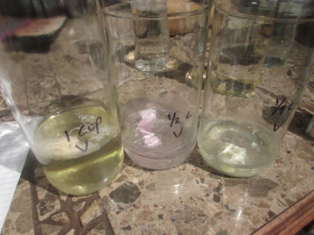 Fleur de Lis Homeschool Blog Apologia Exploring Creation With Physical