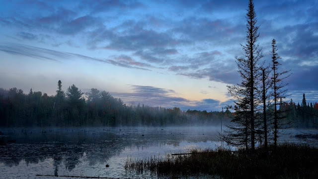 Early morning wallpapers, lake, forest, landscape Early morning wallpapers, lake, forest, landscape