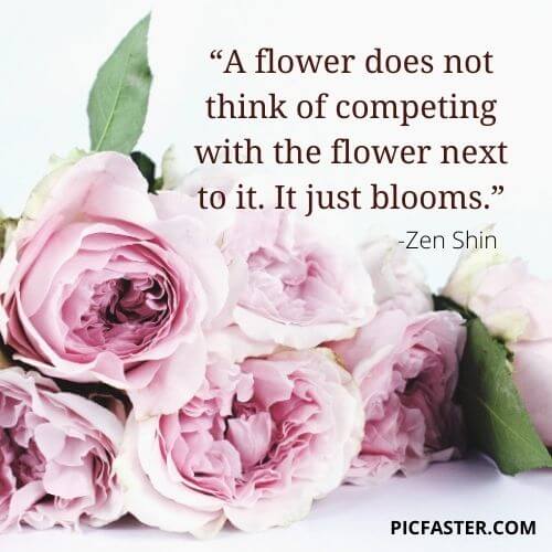 Beautiful Flowers images with quotes for whatsapp dp