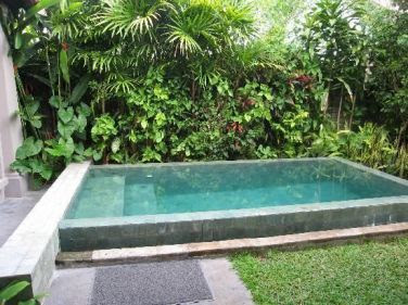 40 Inspirasi Desain Kolam Renang Minimalis 40 Inspirasi Desain Kolam Renang Minimalis