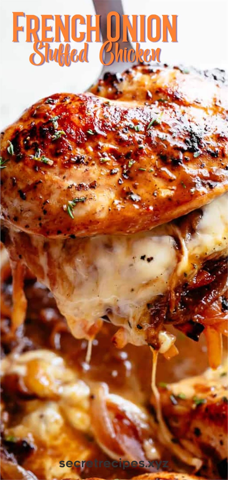 French Onion Stuffed Chicken Recipe Spesial Food