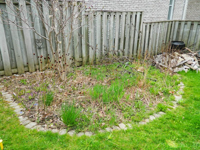 Graydon spring garden cleanup before by Paul Jung Gardening Services Toronto