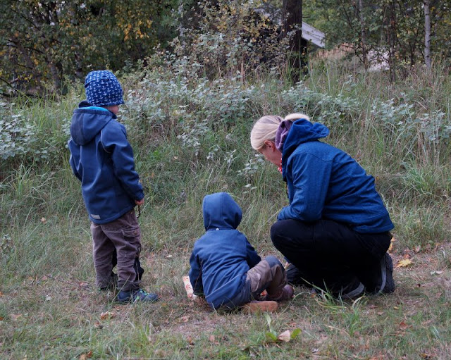 Wir gehen die Baumkinder suchen! Eine Rezension und eine neue Lese-Idee zu Peter Wohllebens inspirierendem Wald-Kinderbuch. Wir haben das Buch zum Lesen mit in den Wald und die Natur genommen.