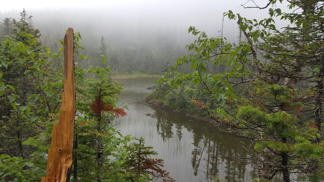 Étendue d'eau sur le sentier vers le pic Dubuc
