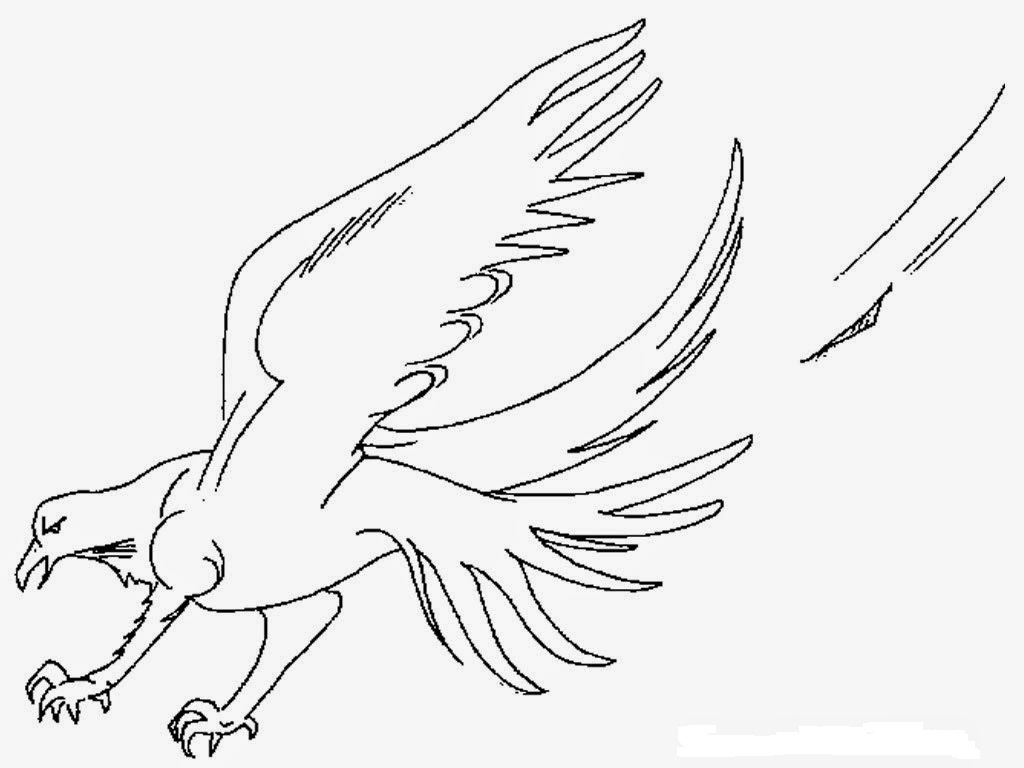 gambar mewarnai burung elang