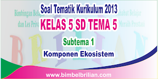 Download Soal Tematik Kelas 5 SD Tema 5 Subtema 1 Komponen Ekosistem dan Kunci Jawaban