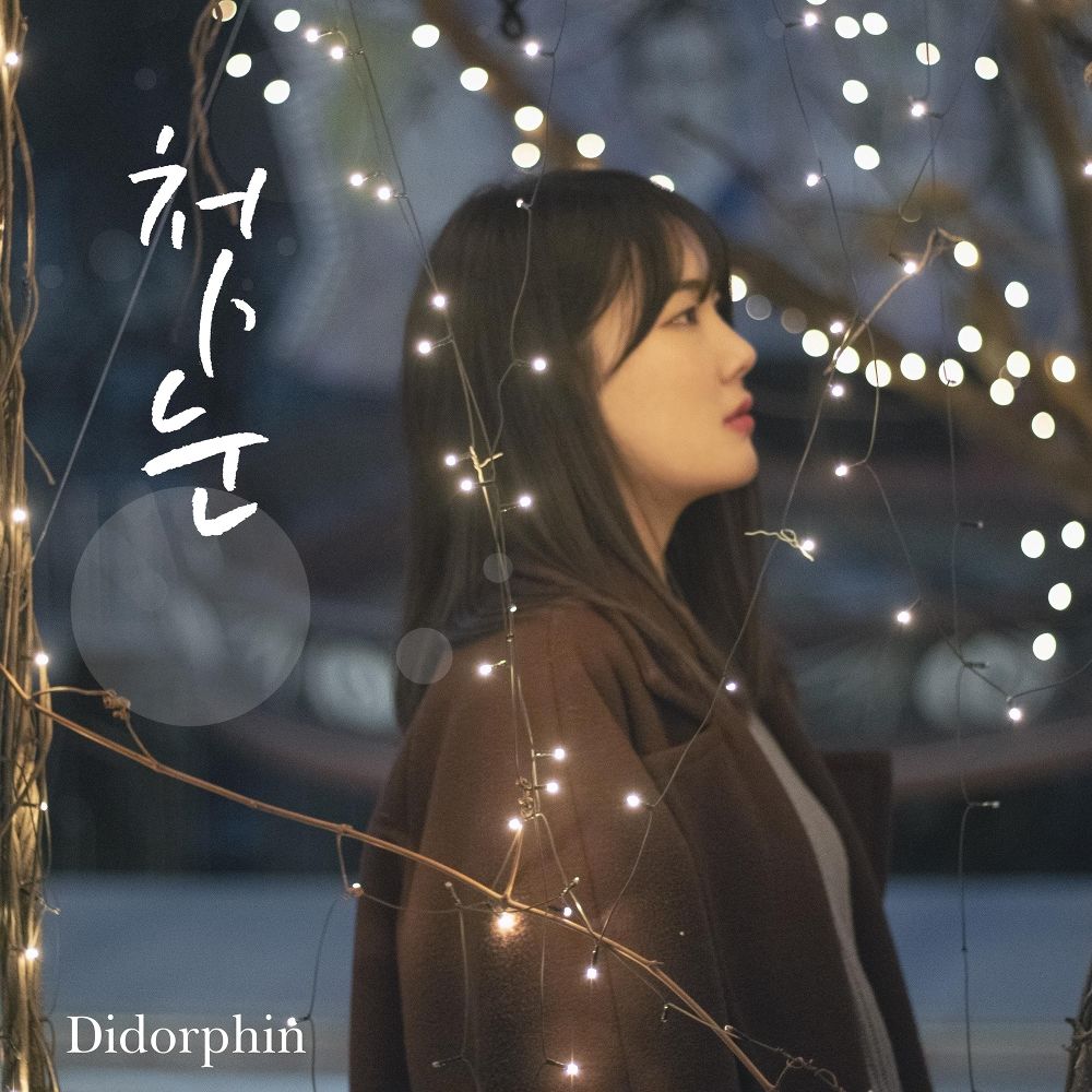 Didorphin – 첫 눈 – Single