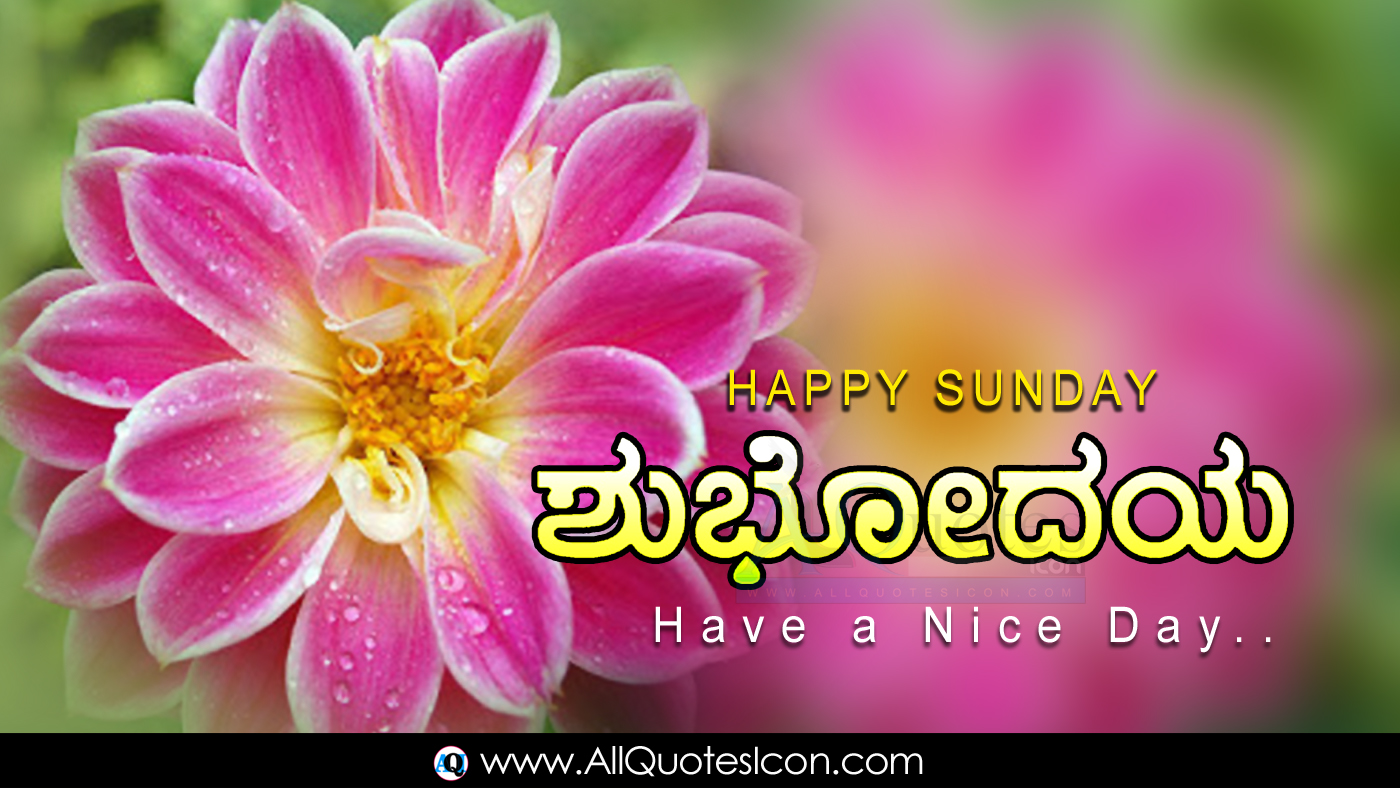 Best Happy Sunday Kannada Good Morning Quotes Images HD Wallpapers Best