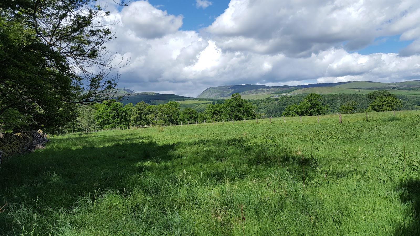 Neil's Hillwalking Exploits Crieff Laggan Hill and Tom a'Chasteil and