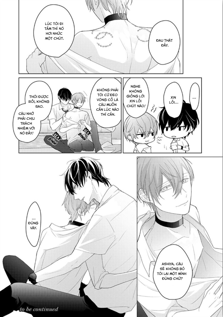 Đọc truyện Omega Không Đứng Đắn Không Thể Rơi Vào Lưới Tình - Chapter 3