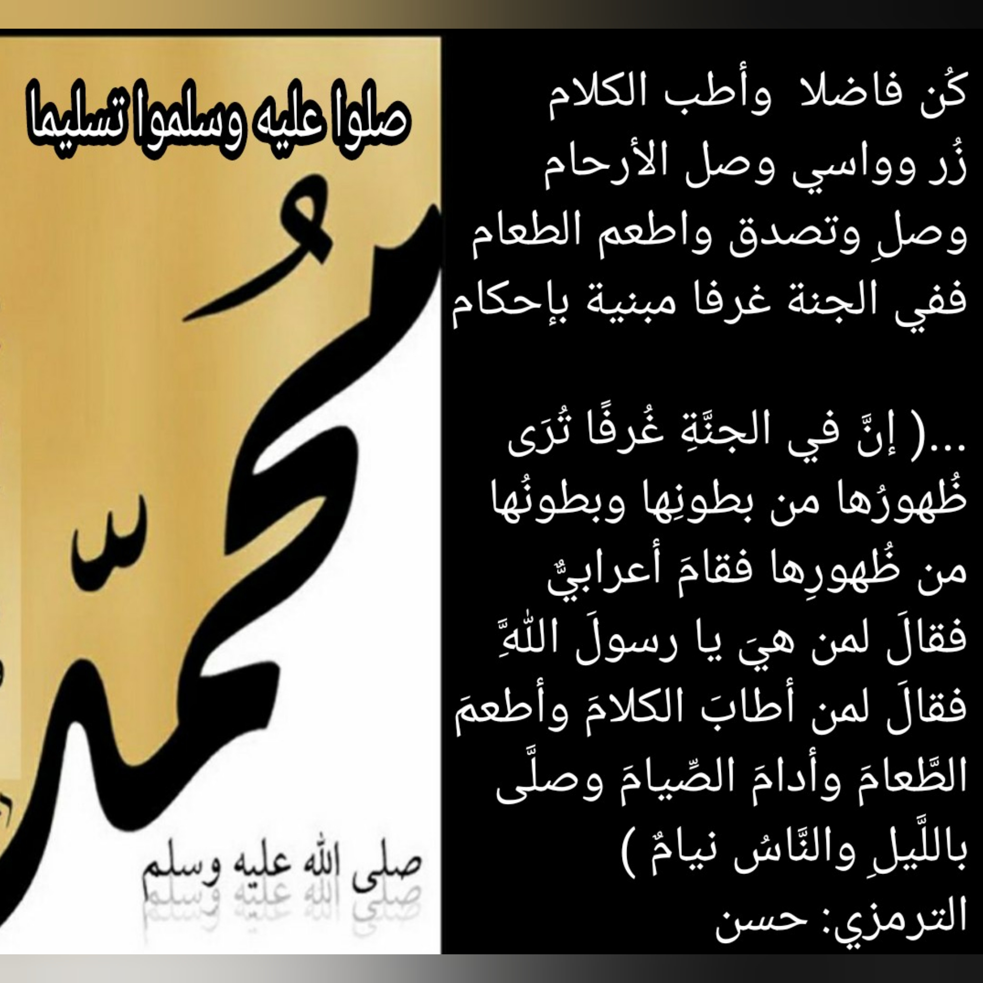 سناء الشاذلي سناء الشاذلي