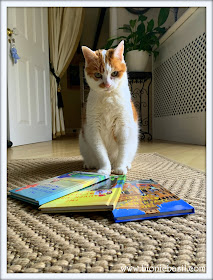 Feline Fiction on Fridays #107 at Amber's Library  @BionicBasil® The Adventures of Vince The Cat Series