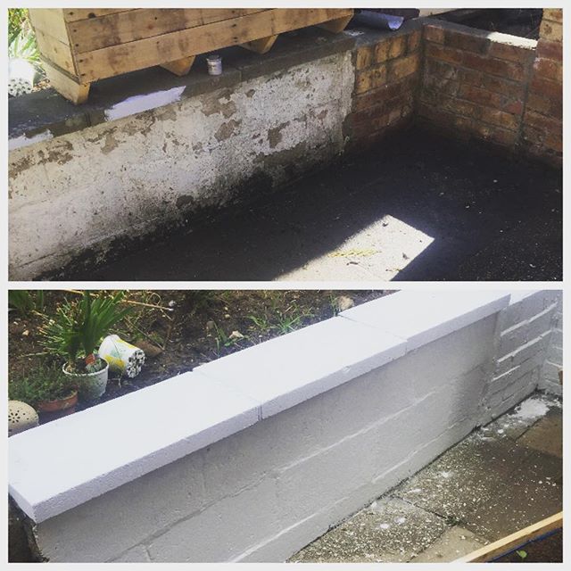 Project House Garden Wall Clean Up