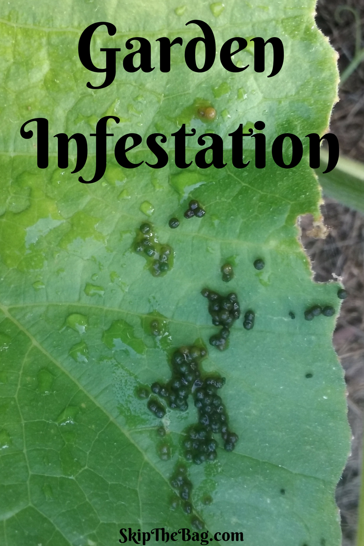 Skip The Bag: Garden Infestation