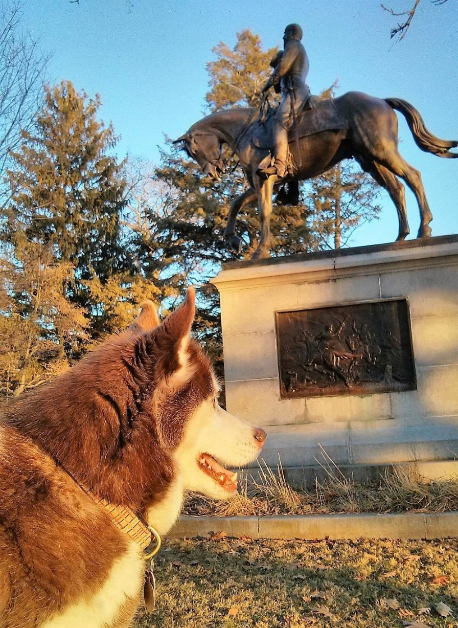 Dogs Luv Us and We Luv Them Dog Friendly New England town Portsmouth