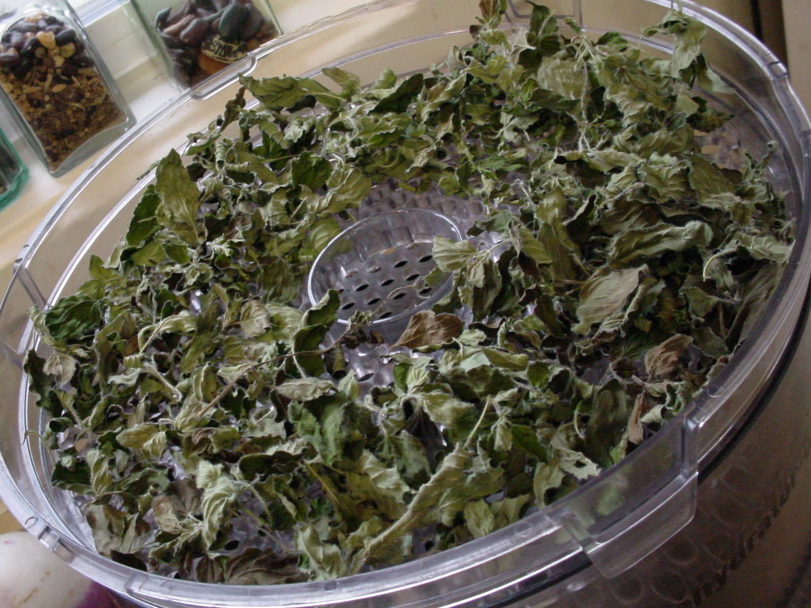 Flitzy Phoebie Dehydrating Oregano