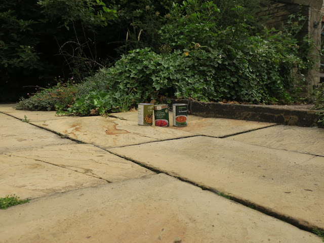 Three cans unaccountably sitting in a row in the street.