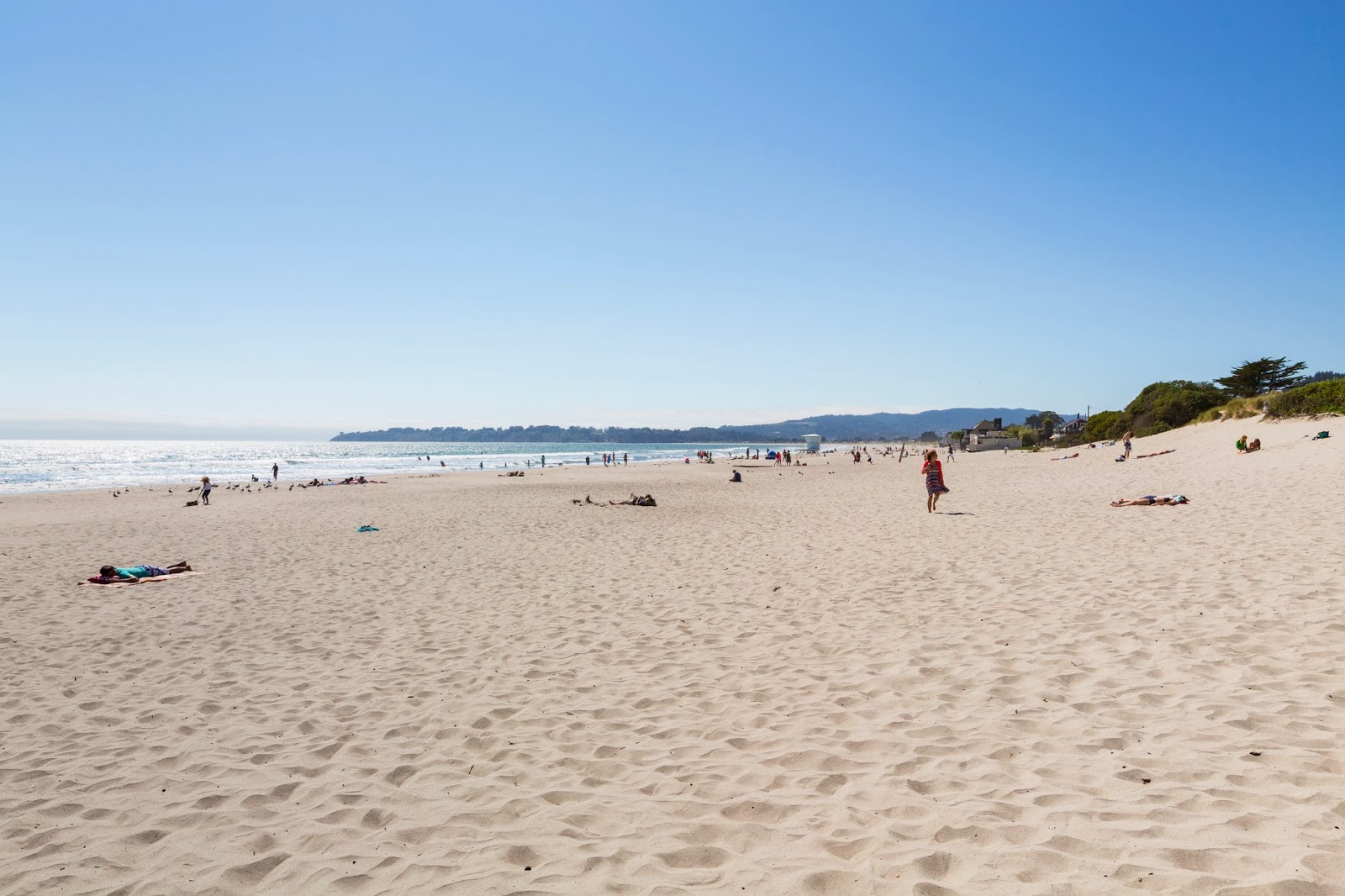Naturetastic Blog Point Reyes, Stinson Beach, Muir Beach Overlook