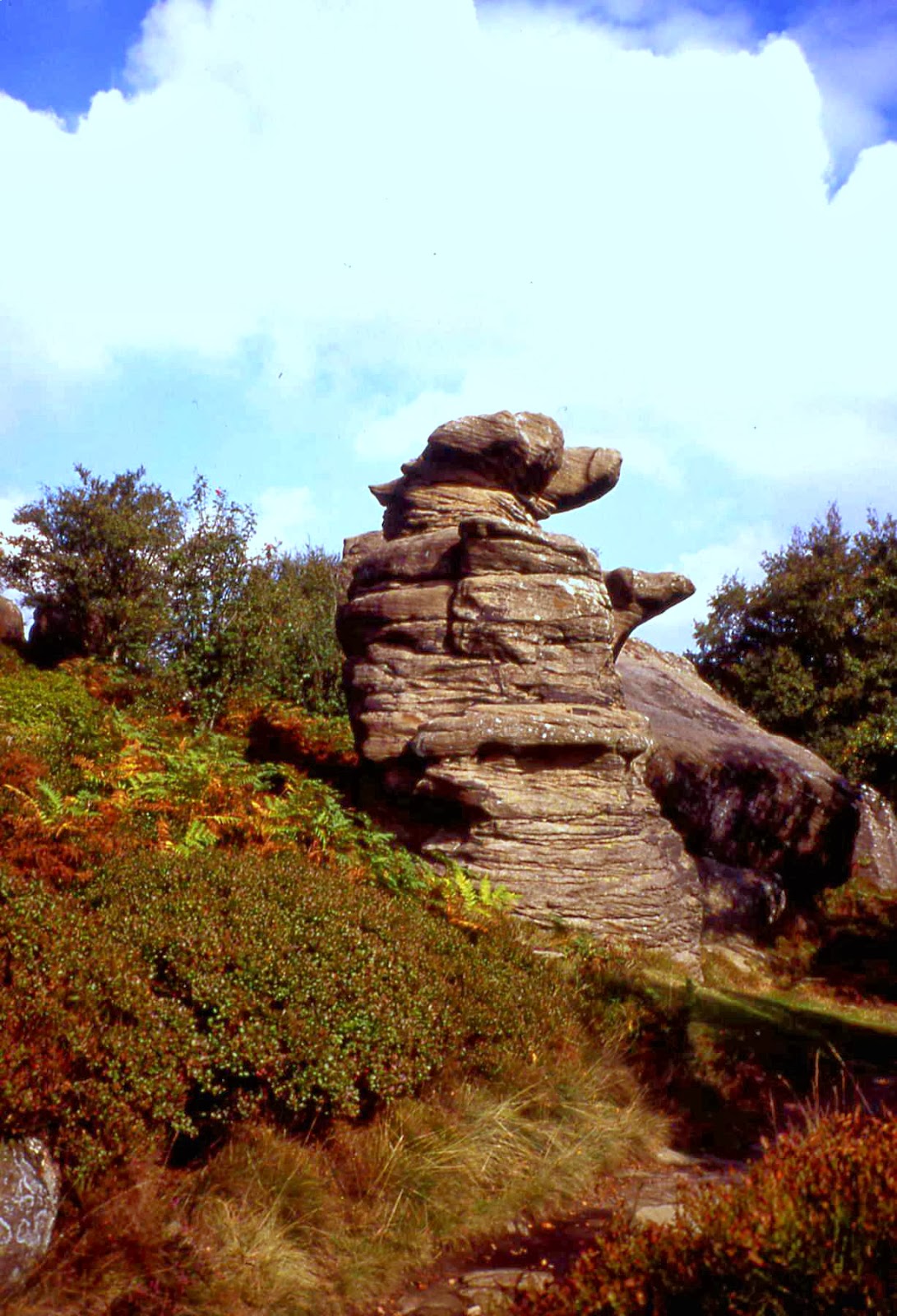 Roy's blog: SOME UNUSUAL ROCKS & STONES